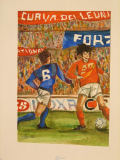 R_Curva dei leoni