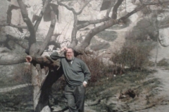 g segato 1995 (3)